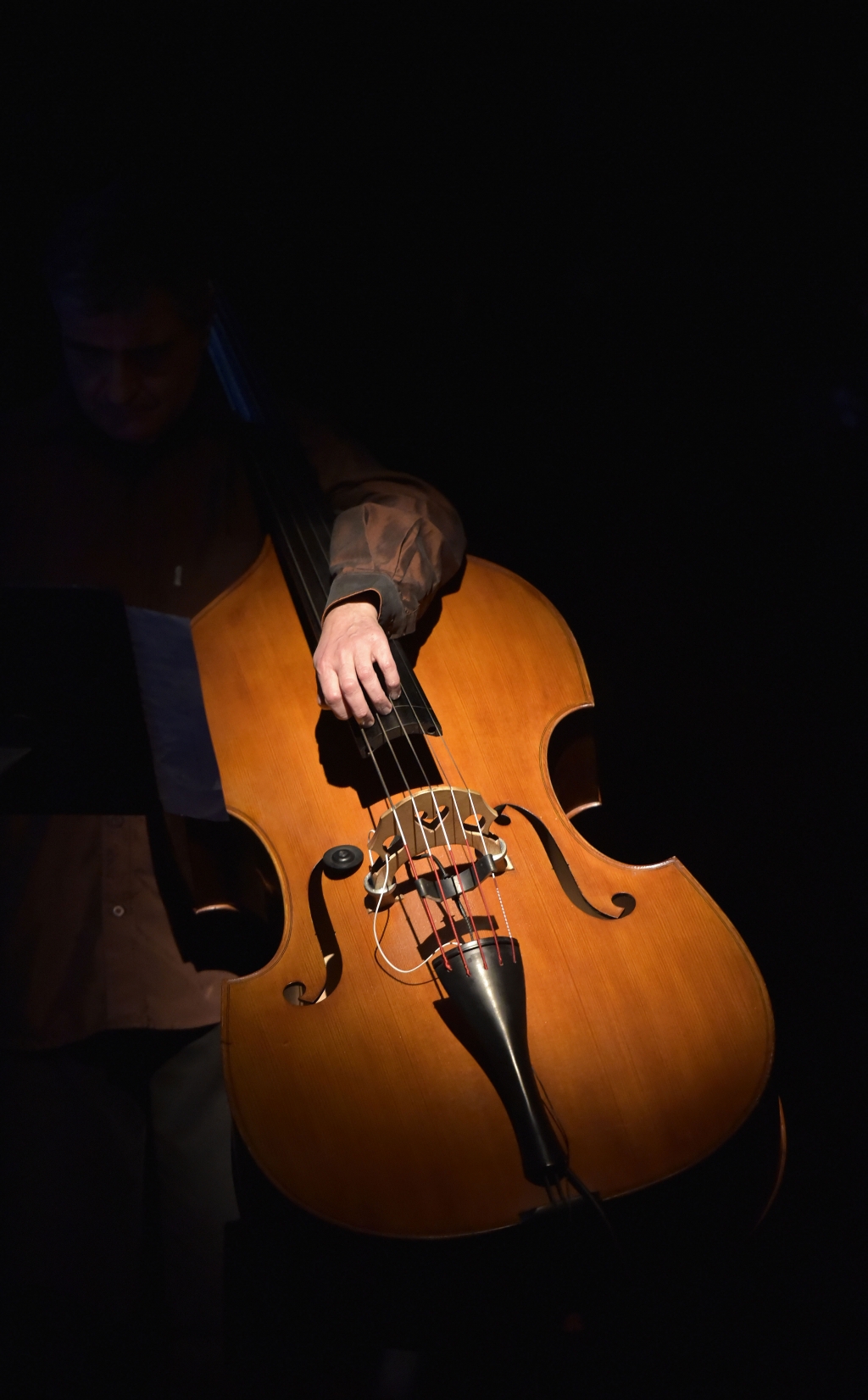 Renaud Garcia-Fons