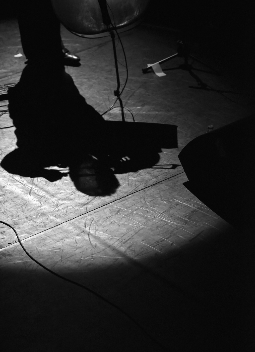 Renaud Garcia-Fons