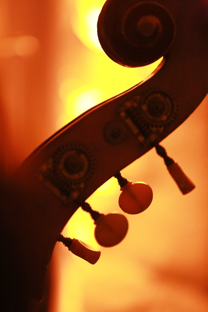 William Galison Trio