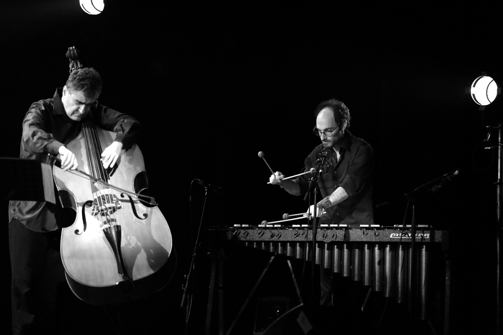 Renaud Garcia-Fons