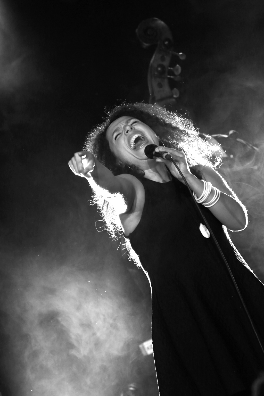 Laure Donnat Quartet