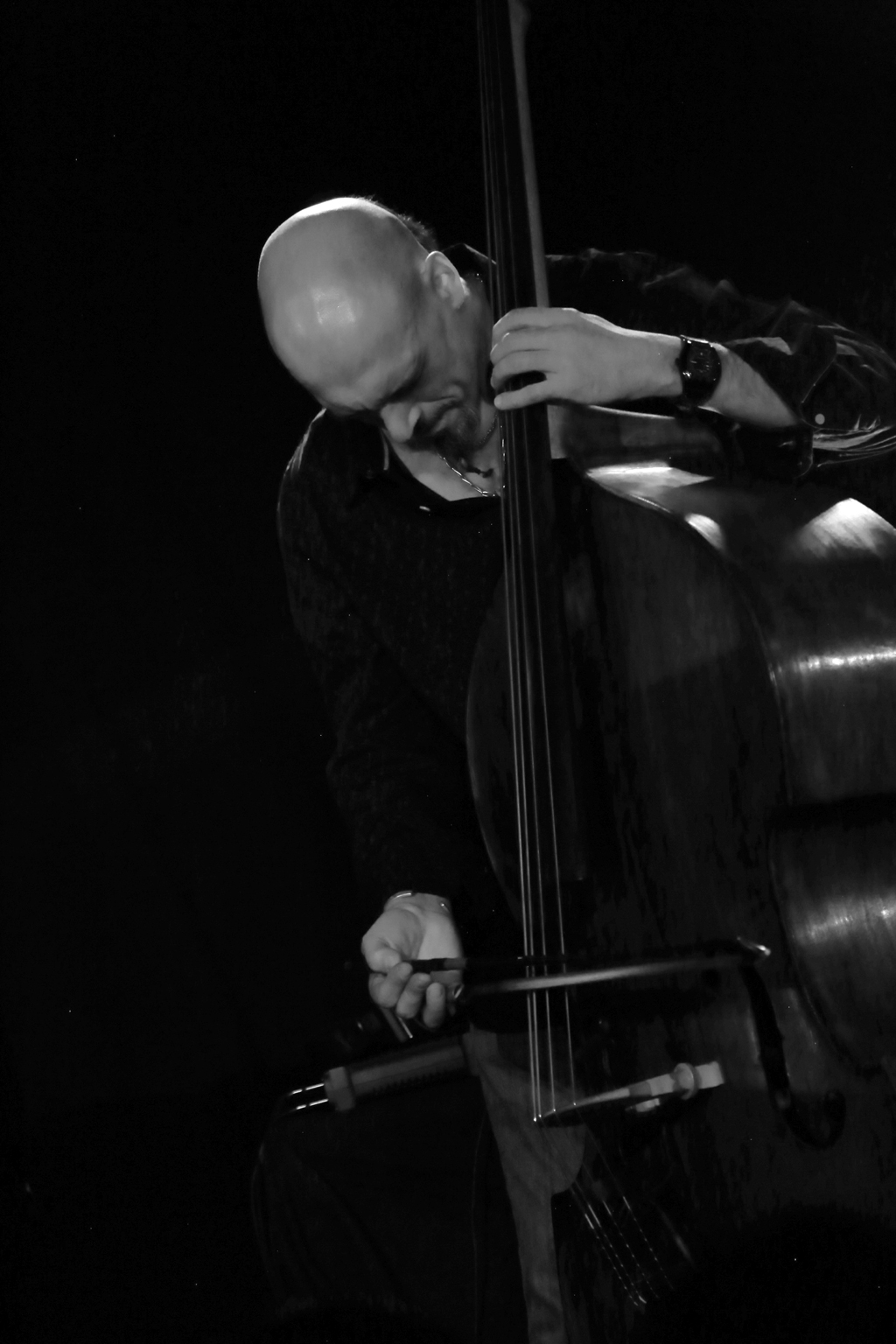 Laure Donnat Quartet