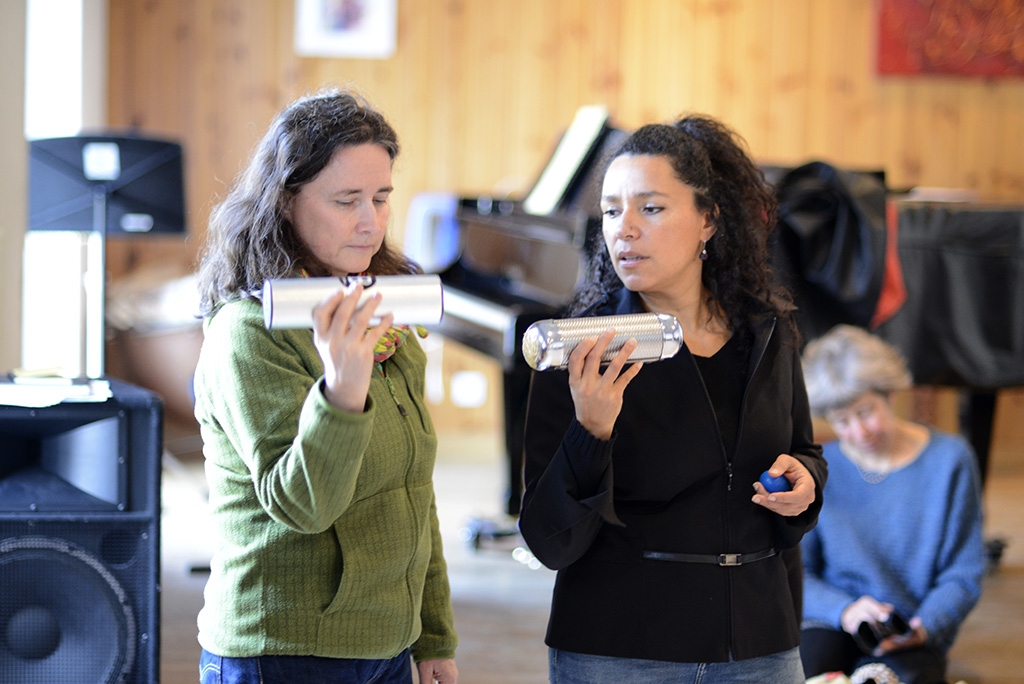 Atelier voix avec Laure Donnat - Briançon - 28 janvier 2017
