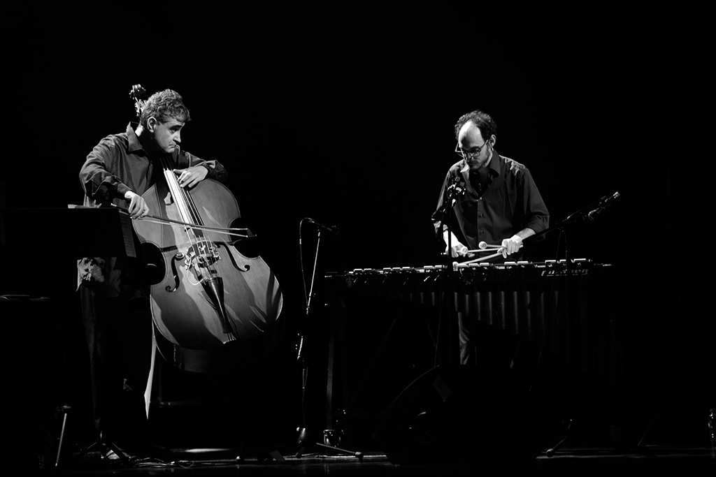 Renaud Garcia Fons - Théâtre du briançonnais - 24 janvier 2017 
