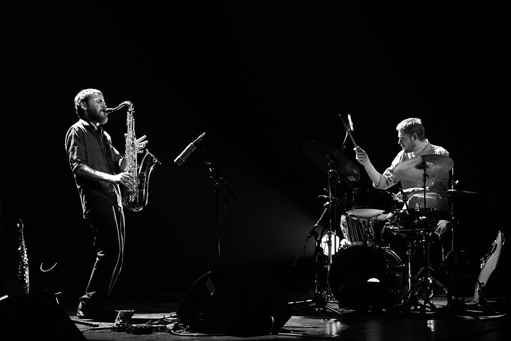 Mammal hands - Théâtre du briançonnais - 21 janvier 2017