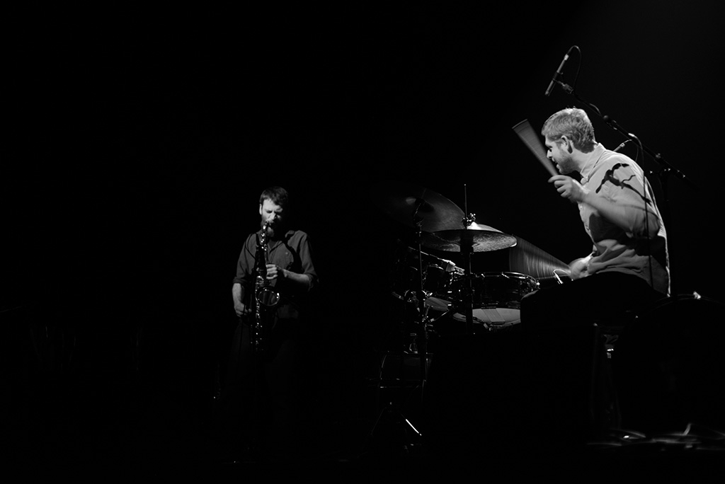 Mammal hands - Théâtre du briançonnais - 21 janvier 2017