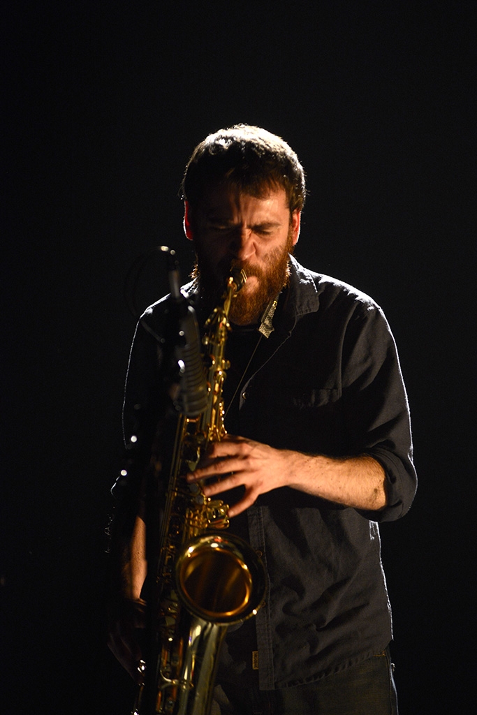 Mammal hands - Théâtre du briançonnais - 21 janvier 2017